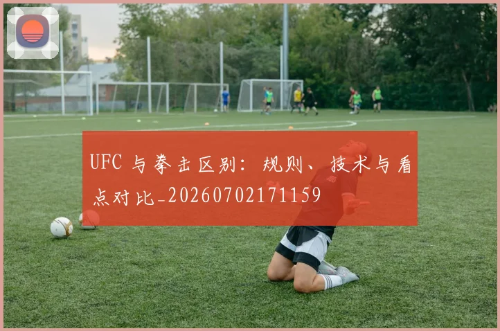 UFC 与拳击区别：规则、技术与看点对比_20260702171159