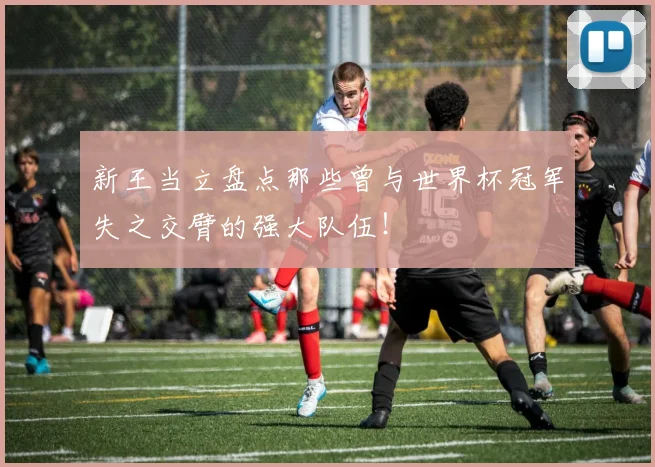 新王当立盘点那些曾与世界杯冠军失之交臂的强大队伍！