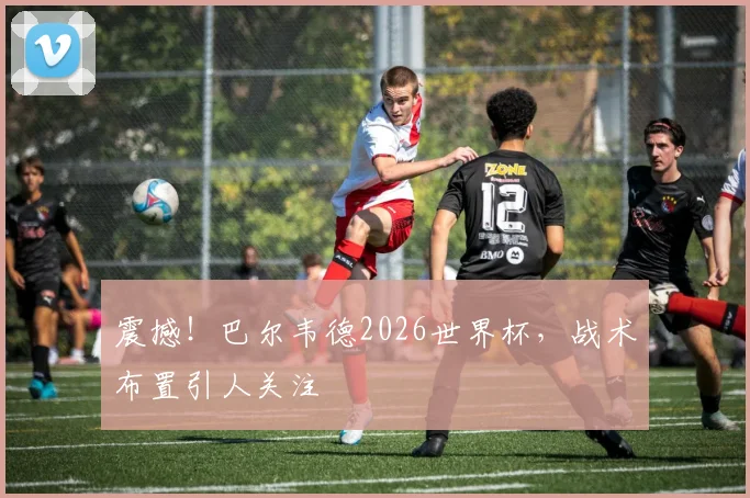 震撼！巴尔韦德2026世界杯，战术布置引人关注