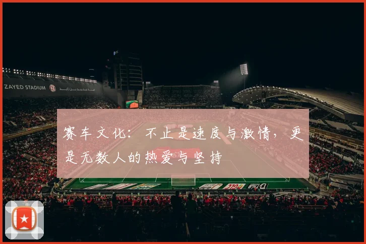 赛车文化：不止是速度与激情，更是无数人的热爱与坚持
